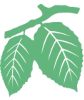 logo-olmenveld.webp